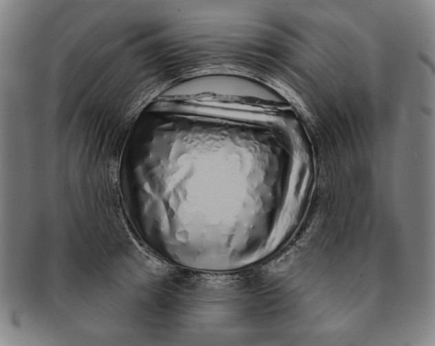 X0000091210849200708301426