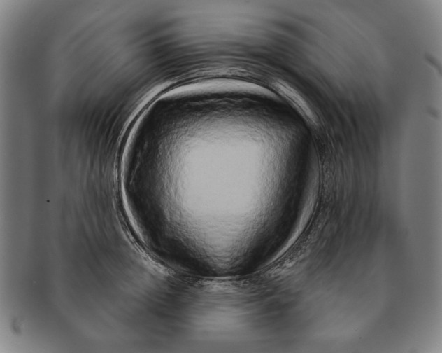 X0000091210852200708301426