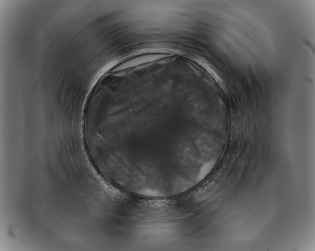 X0000091210853200708301426