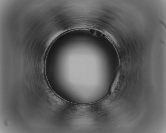 X0000091210854200708301426