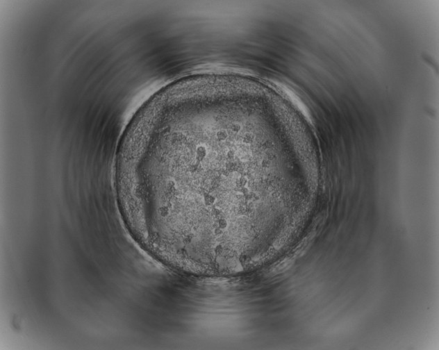 X0000091210855200708301426