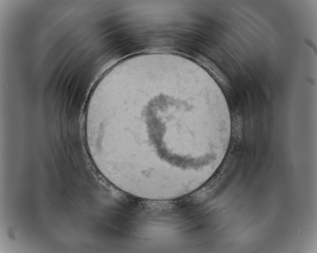 X0000091210856200708301426