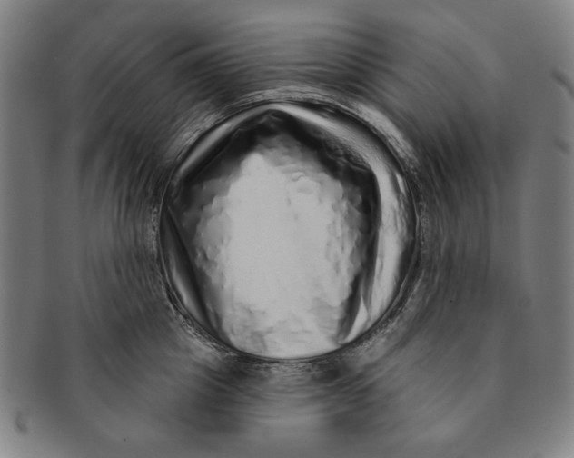 X0000091210857200708301426