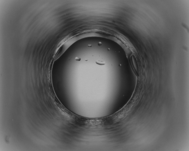 X0000091210858200708301426