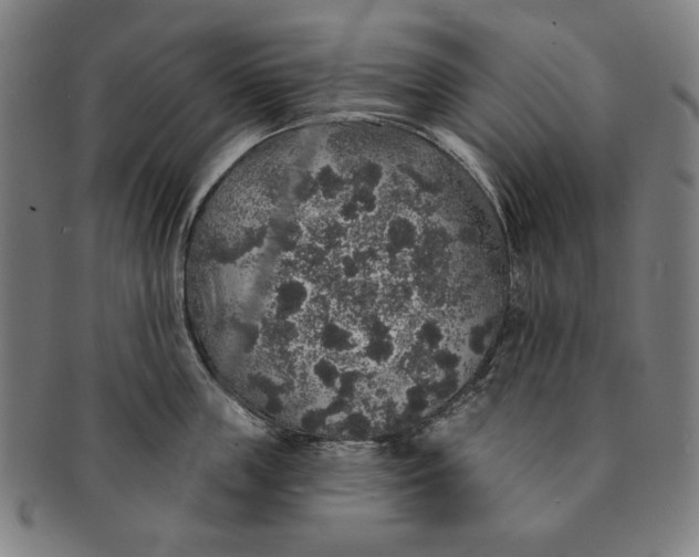 X0000091210859200708301426