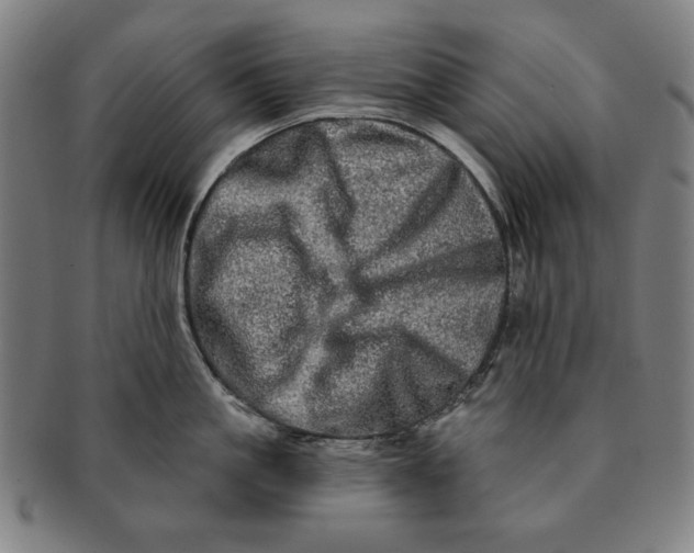 X0000091210861200708301426