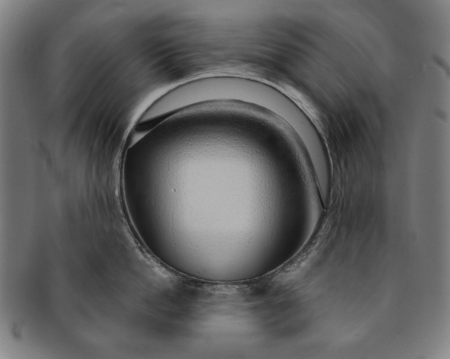 X0000091210862200708301426