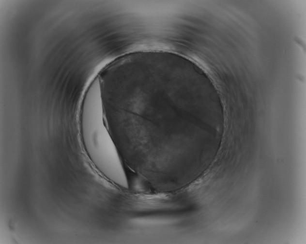 X0000091210864200708301426