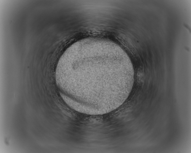 X0000091210865200708301426