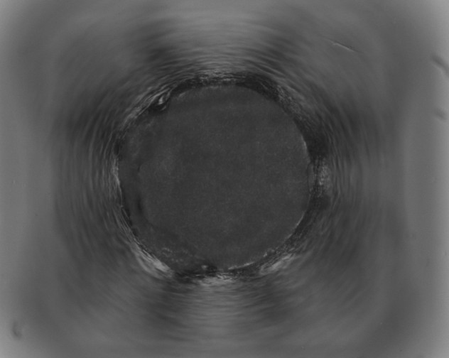 X0000091210868200708301426