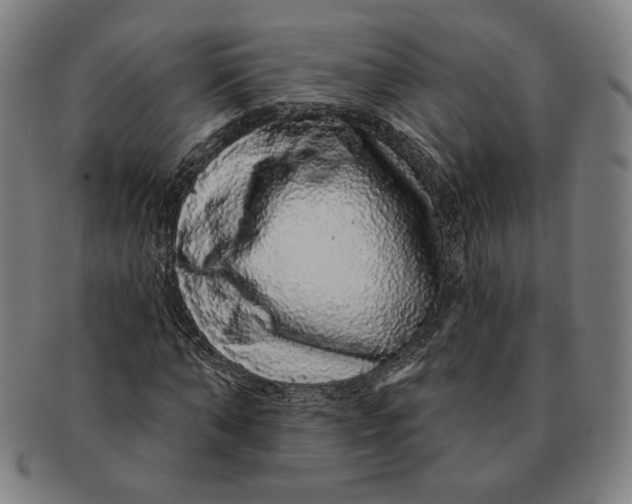 X0000091210870200708301426