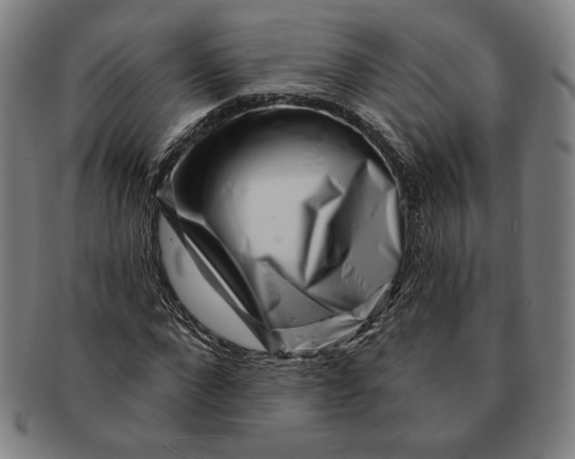 X0000091210872200708301426