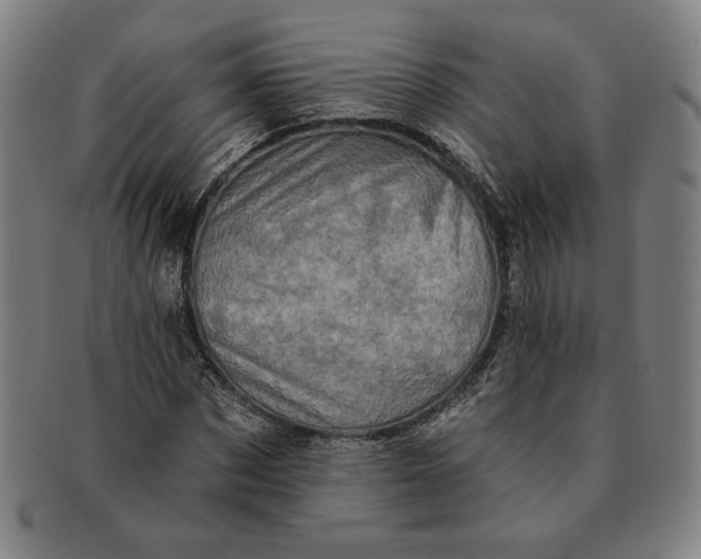 X0000091210873200708301426