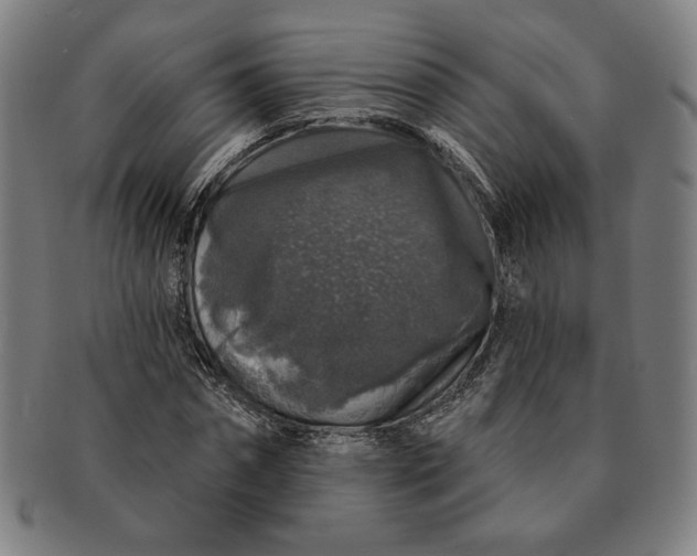 X0000091210874200708301425