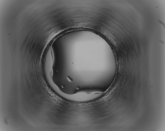 X0000091210876200708301425