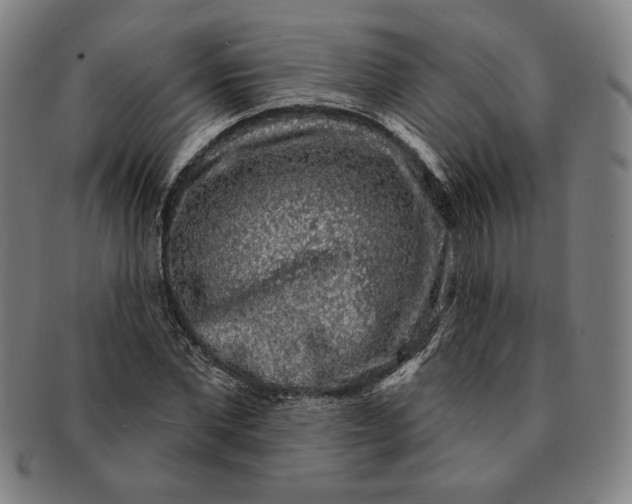 X0000091210877200708301425