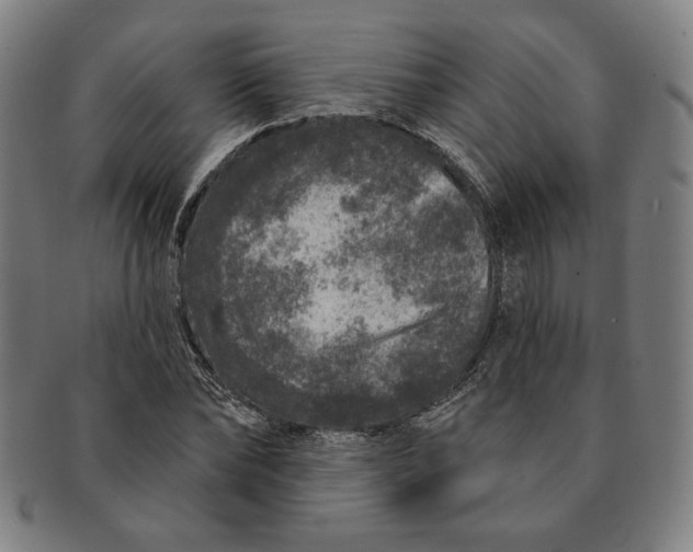 X0000091210878200708301425