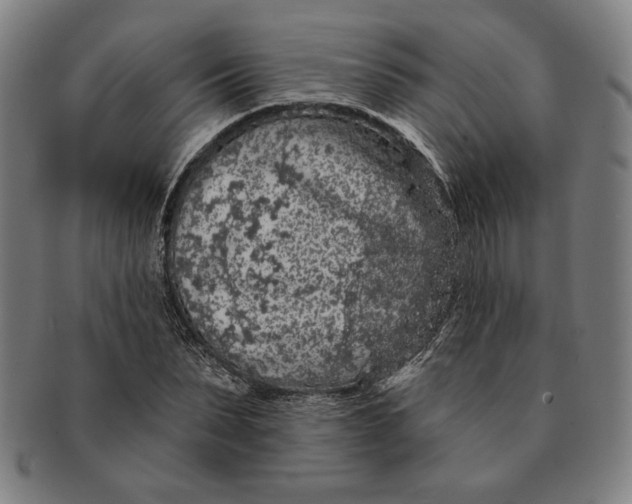 X0000091210879200708301425