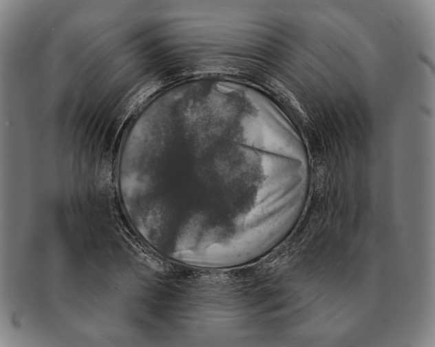 X0000091210882200708301425