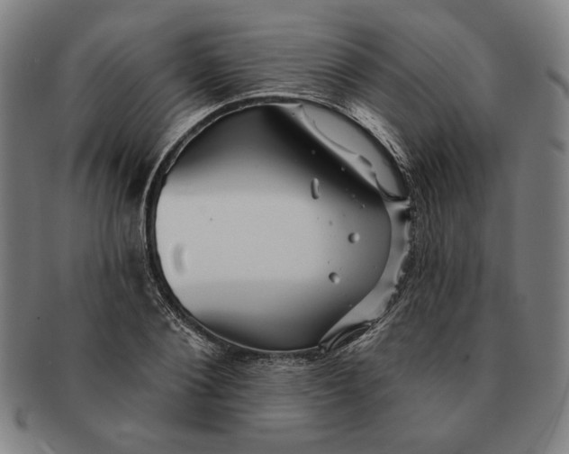 X0000091210884200708301425