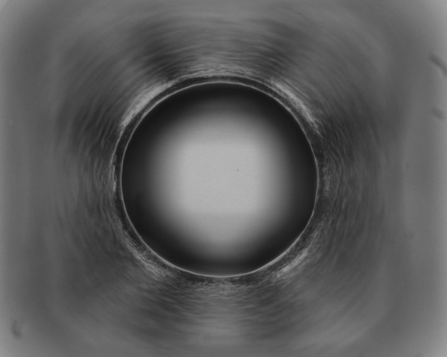 X0000091210885200708301425