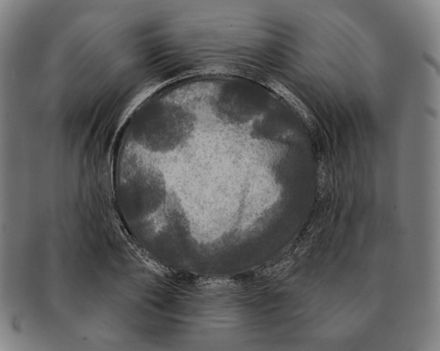 X0000091210886200708301425