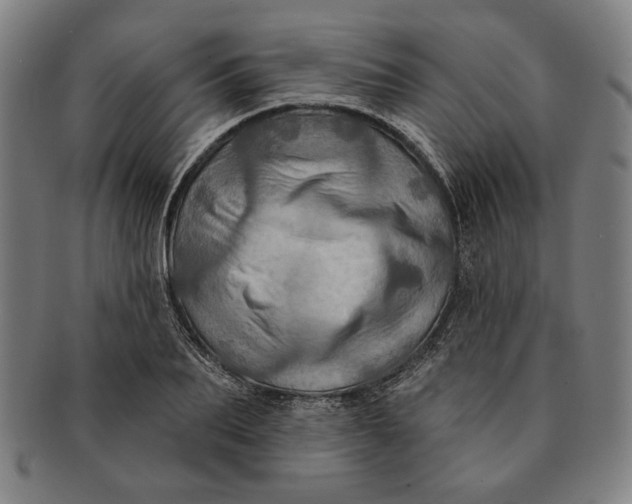 X0000091210887200708301425