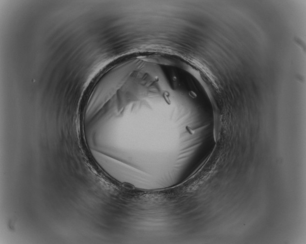 X0000091210888200708301425