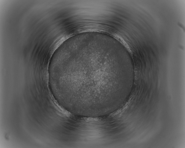 X0000091210890200708301425