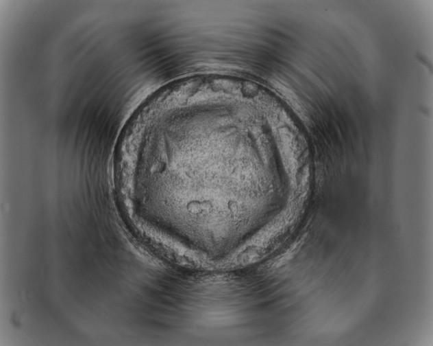 X0000091210891200708301425