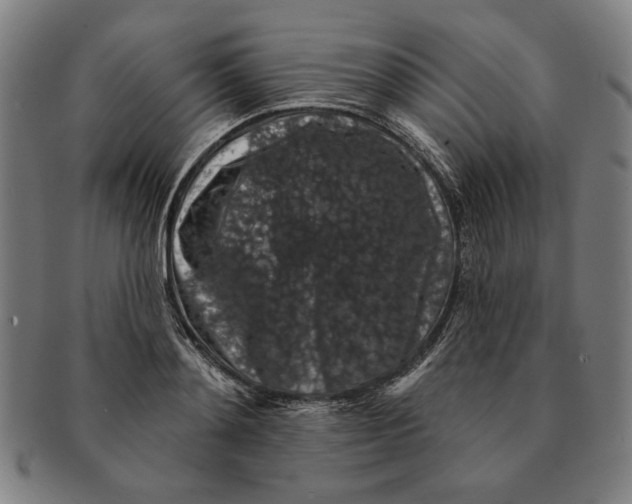 X0000091210892200708301425