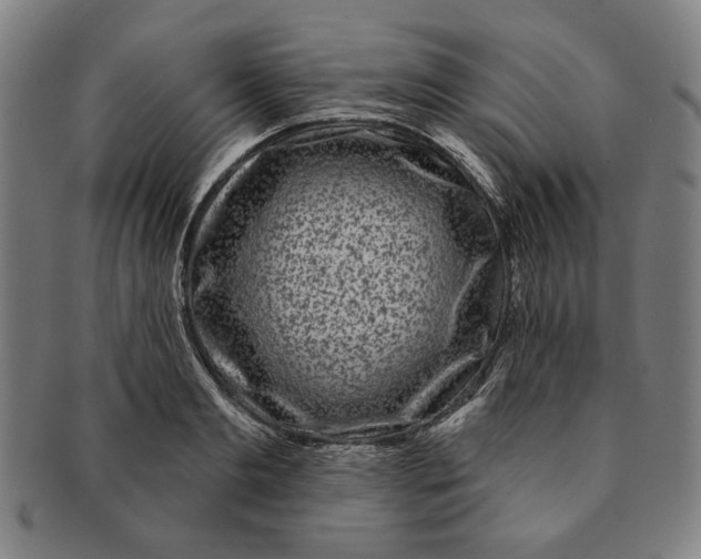 X0000091210893200708301425