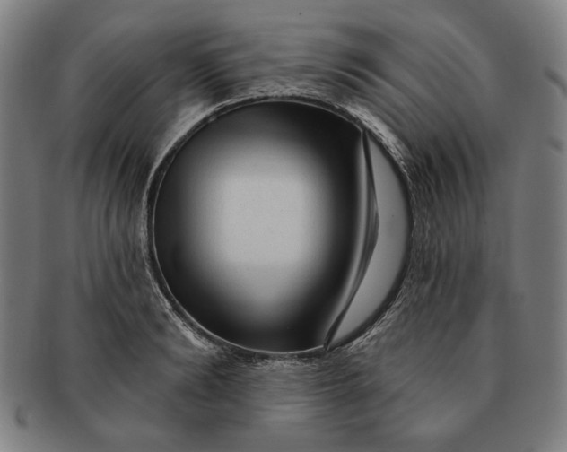 X0000091210894200708301425