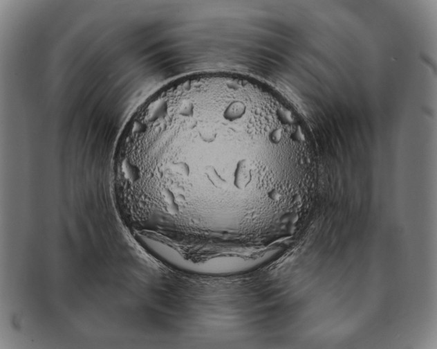 X0000091210895200708301425