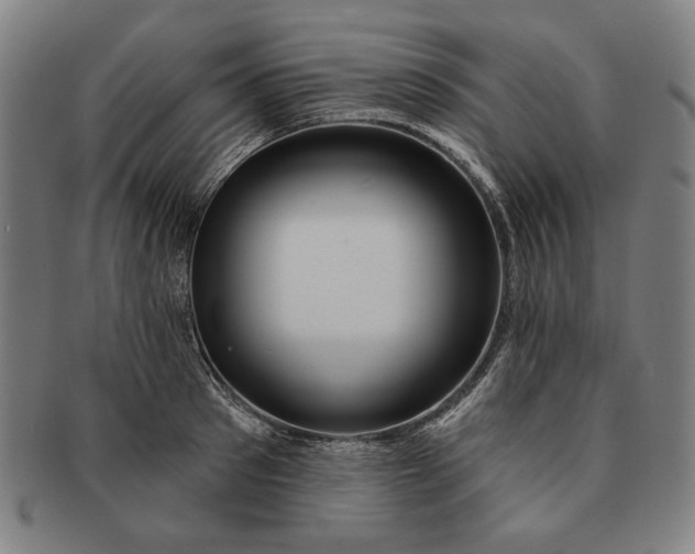 X0000091210897200708301425