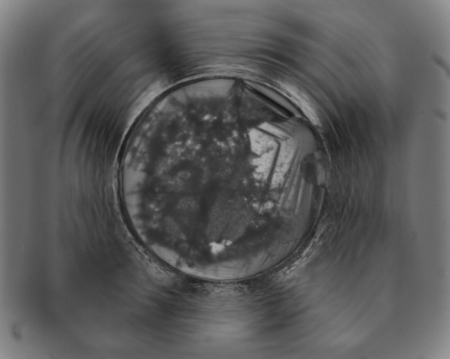 X0000091210899200708301425