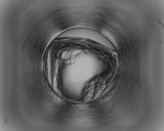 X0000091210900200708301425