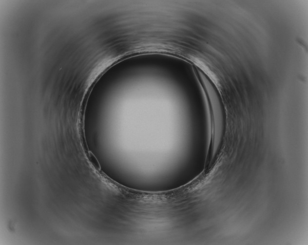 X0000091210901200708301425