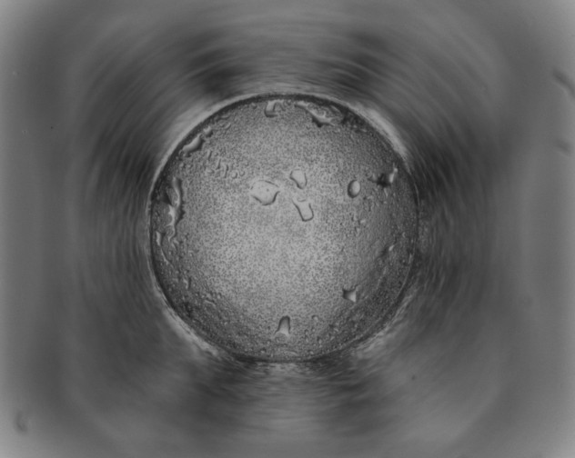 X0000091210903200708301425