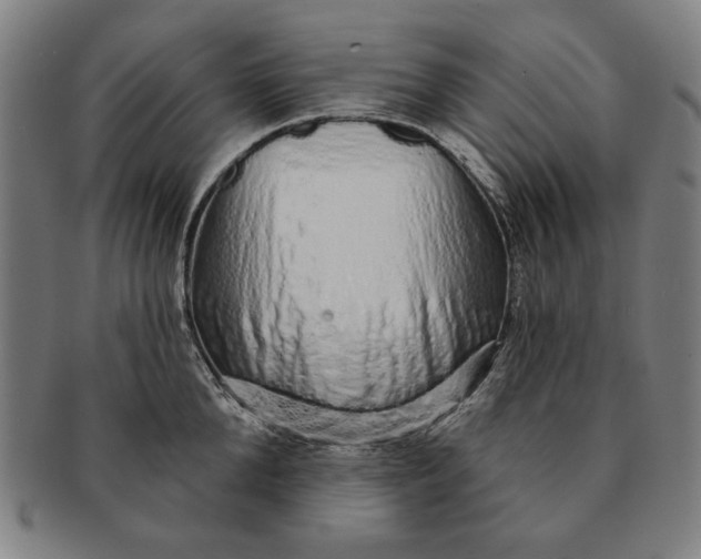 X0000091210904200708301425