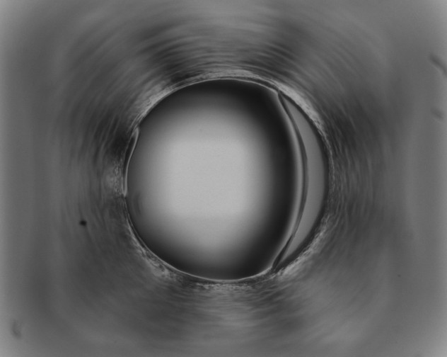 X0000091210905200708301425