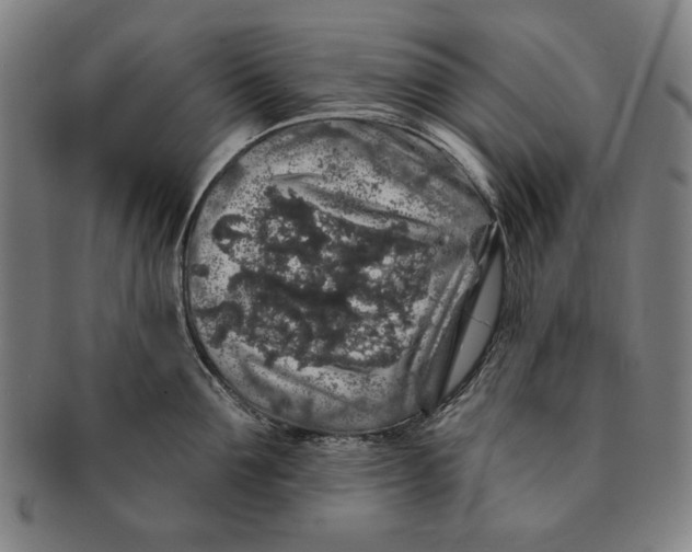 X0000091210907200708301425