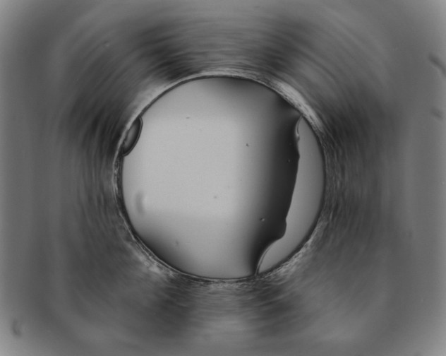 X0000091210908200708301425