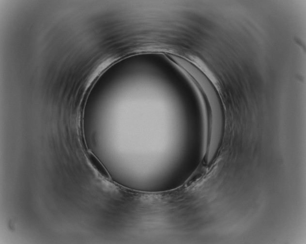 X0000091210909200708301425