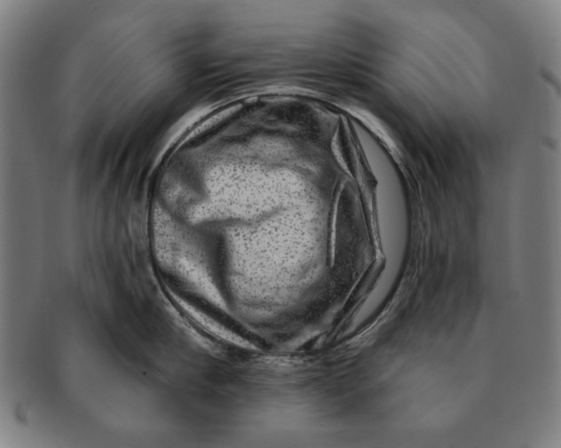 X0000091210910200708301425