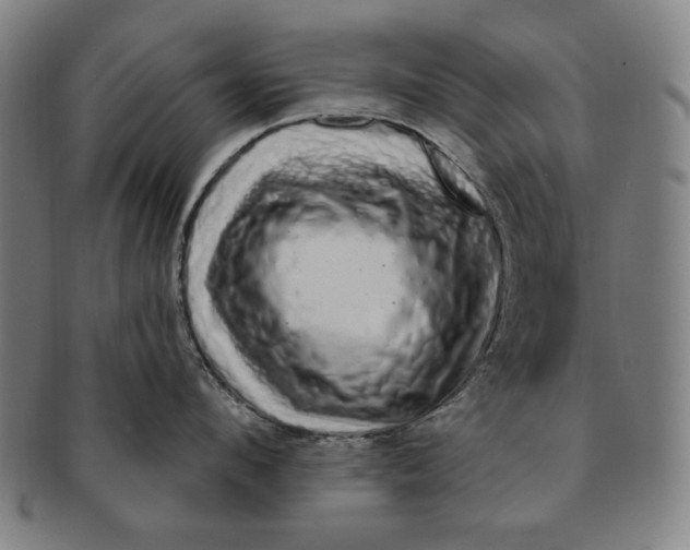 X0000091210912200708301425