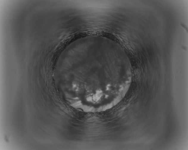 X0000091210913200708301424