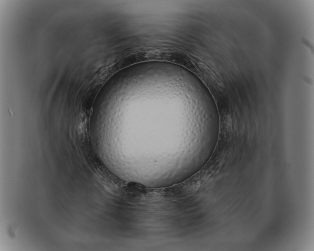 X0000091210914200708301424