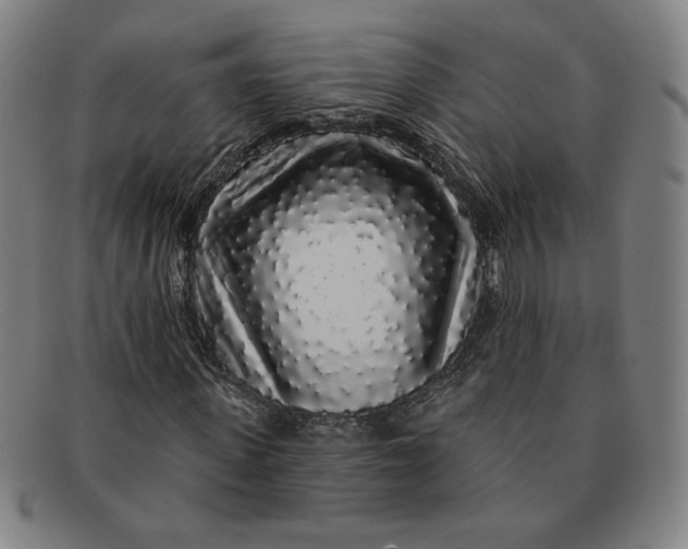 X0000091210915200708301424