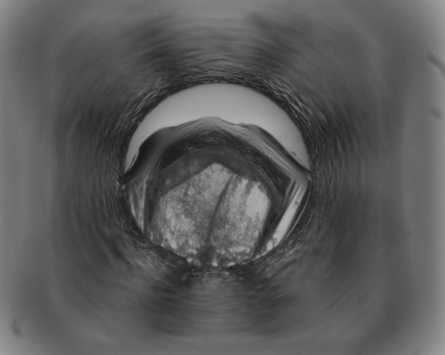 X0000091210916200708301424